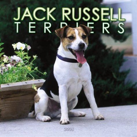 Jack Russell Terriers Wall Calendar 2005 : Amazon.in: Books