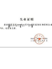 汕头护照签证办理流程Word模板下载_编号lejdwnvk_熊猫办公