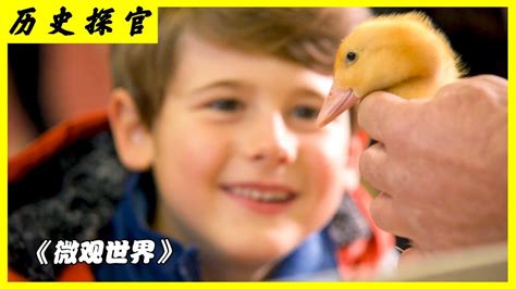 男孩捡到一个鸭蛋，敷出的小黄鸭，开启了极限刺激的探险之旅_腾讯视频