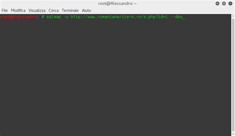 Image result for SQL Injection Example Kalinux
