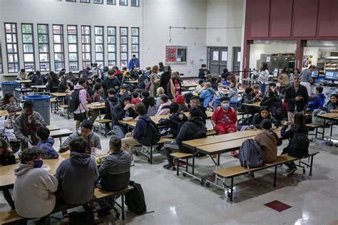 School 的图像结果