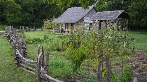 Image result for Primitive Farm
