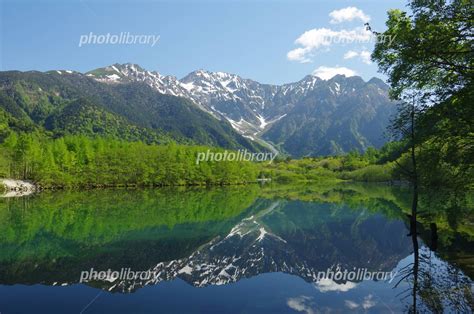Image result for Creating Portfolio Using HTML and CSS