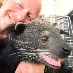 Hire Animals For Parties | Rent Farm Animals At Your Party - The Bash