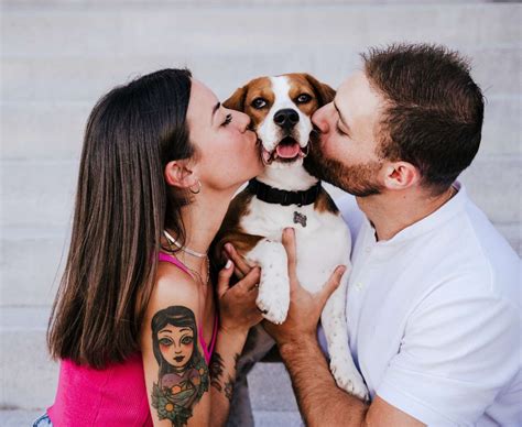 Zoonotic STDs: Can Your Pet Give You an Infection?