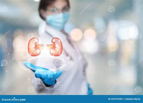 Doctor Showing Kidneys on Virtual Screen Stock Image - Image of direction, modern: 254794387