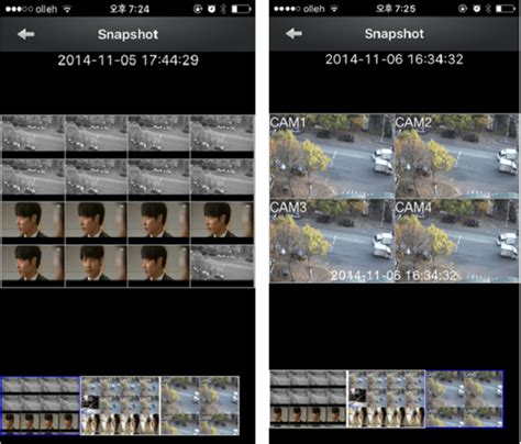 T DVR Viewer Tutorial 的图像结果