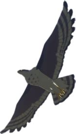 Hawk Summon Spawn 的图像结果