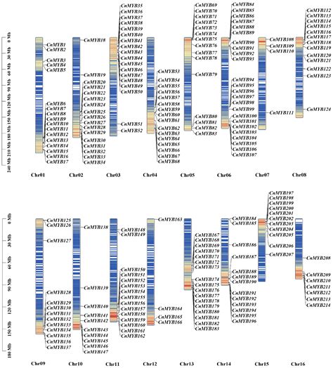 Genome-Wide Identification and Expression Analysis of MYB Transcription ...