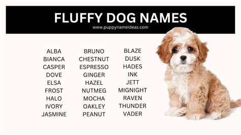200+ Fluffy Dog Names - Puppy Name Ideas