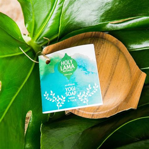 Holy Lama Natural Handmade Ayurvedic Soap Combo - Curcuma, Rainforest ...