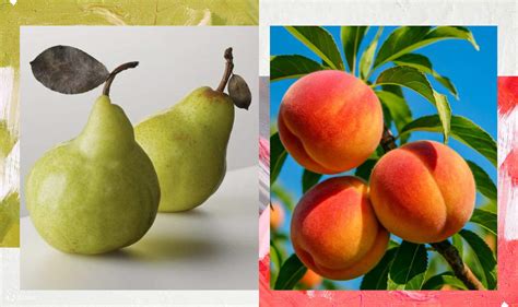 Still Life Painting Workshop by We Art - Klook India