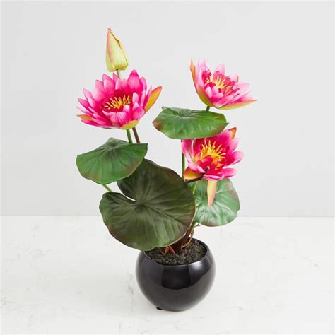 Buy Valencia-Sachi Solid Four Head Lotus in Ceramic Pot from Home ...