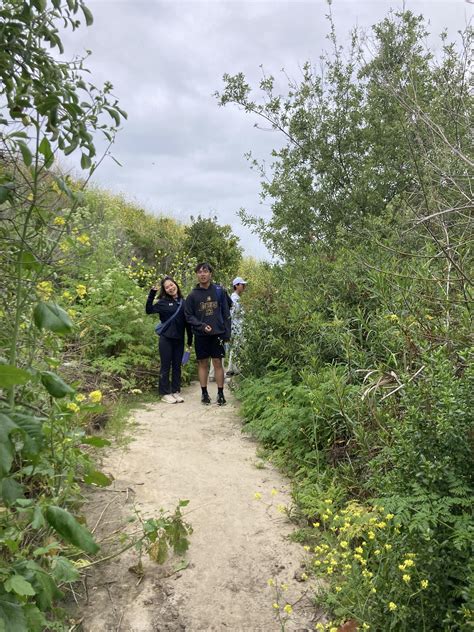 Welcome – International Student Admissions – Calvary Chapel High School