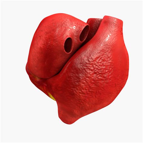 Image result for Heart with Name Using Python
