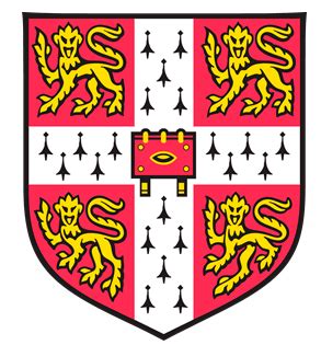 Home [kalviintercontinentalschool.com]