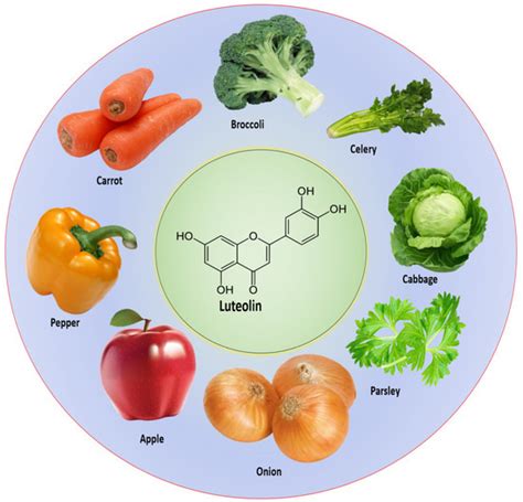 Effects and Mechanisms of Luteolin, a Plant-Based Flavonoid, in the ...