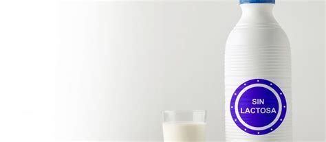 LA INTOLERANCIA A LA LACTOSA Y LOS PRODUCTOS DESLACTOSADOS | Alimentos ...