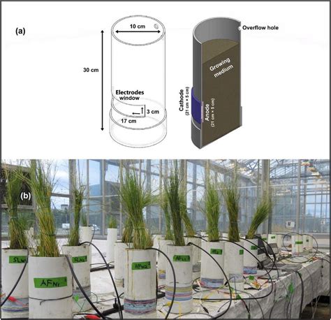 Image result for Microbial Fuel Cell Anode and Cathode