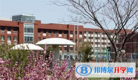 天津经济技术开发区国际学校2023报名条件、招生要求、招生对象