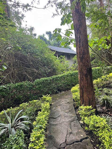 KIBALE CHIMPS VILLAS LODGE (Fort Portal) - Guesthouse Reviews & Photos ...