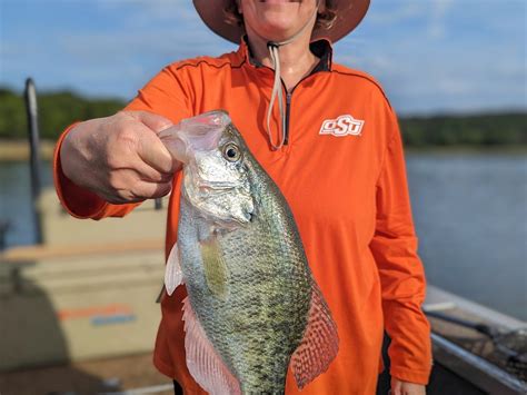 LANCE'S GUIDE SERVICE (2025) All You Need to Know BEFORE You Go (with ...