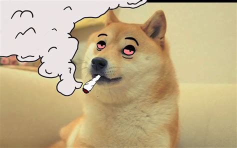 Image result for Random Choice Stack Overflow