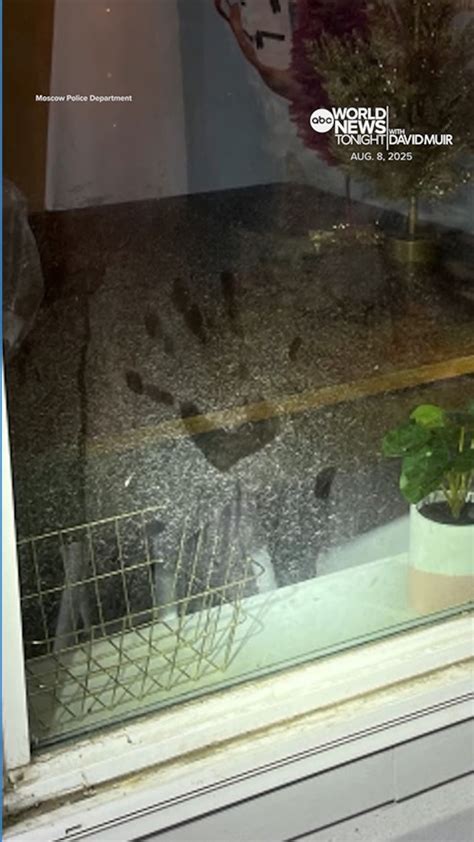 Crime 的图像结果