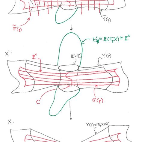 Image result for Reflection Geometry Definition