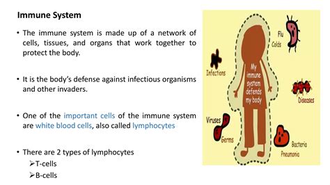 Basics of Immune System | PPTX