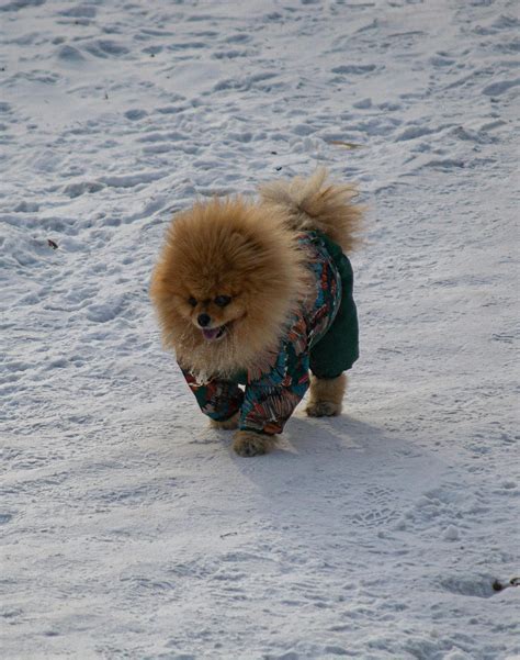 Gym Outside 的图像结果
