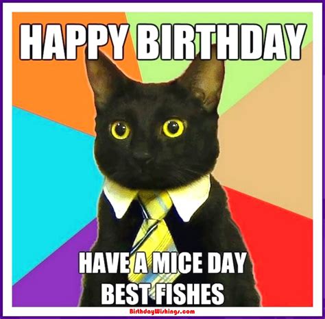 Happy Birthday Meme Funny at Roger Daniels blog