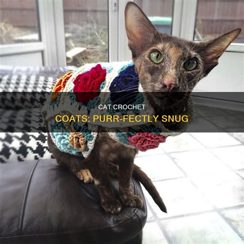 Cat Crochet Coats: Purr-Fectly Snug | CyCrochet