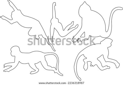 Image result for Www.Line6.com Monkey