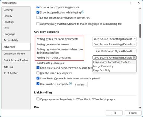 Image result for Word Paste Values