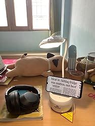 Buy Bajaj Softlite Mini Led Rc Portable Table Lamp - White ...