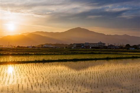 Japan Tourism 的图像结果