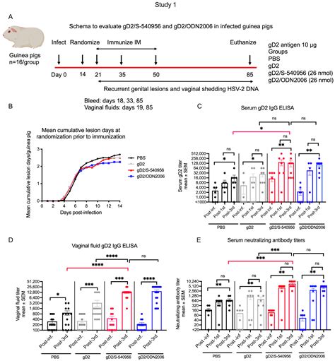 Novel Adjuvant S-540956 Targets Lymph Nodes and Reduces Genital ...