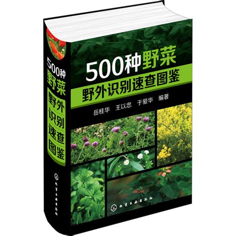 500 种中国野菜识别与养生图鉴（书籍） - 知乎