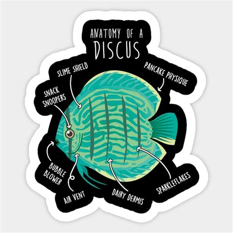 Image result for Discus Fish Anatomy