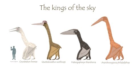 Cryodrakon Boreas was a giant Pterosaur species that lived in the late cretaceous in what is now ...