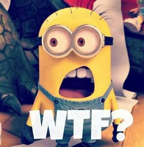 Funny Comment Sections 的图像结果