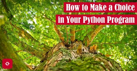 Image result for Efficient Algorithm Choices in Python Example Code