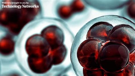 Single Cell Analysis Free Software 的图像结果