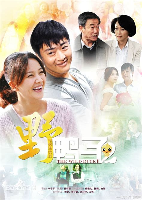 野鸭子 2 (TV Series 2013-2014) - Posters — The Movie Database (TMDB)