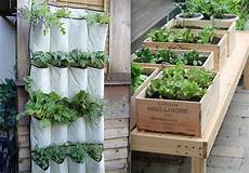 fare l orto in giardino orto in casa e in citt 224 ecco come e perch 232 fa bene a noi fare l orto in giardino orto in casa e in citt 224 ecco come e perch 232 fa bene a noi