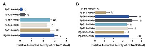 C/EBPα Regulates PxTreh1 and PxTreh2 Trehalase-Related Bt Resistance in ...