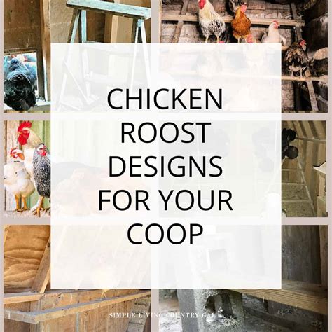 Chicken roost designs | Simple Living Country Gal