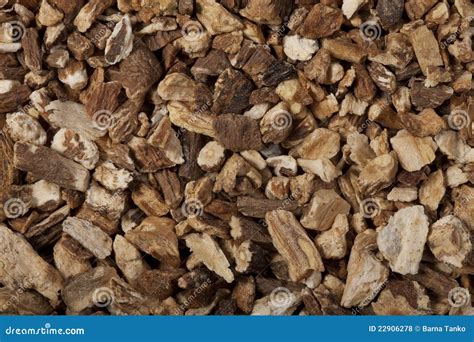 Organic dandelion root tea stock photo. Image of health - 22906278