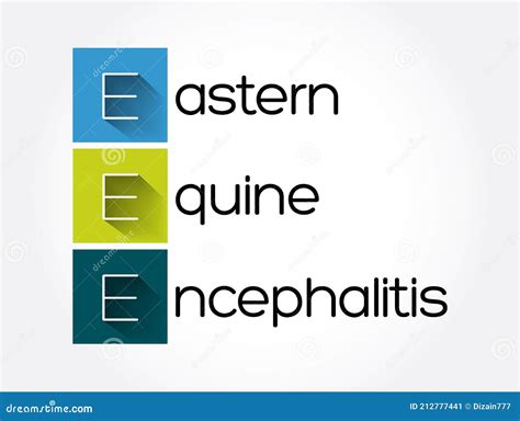 EEE - Eastern Equine Encephalitis Acronym, Medical Concept Background Stock Photo ...